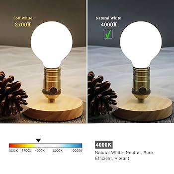 MEILUX 6 Pack G25(G80) Globe LED Light Bulbs, 5W Dimmable 40